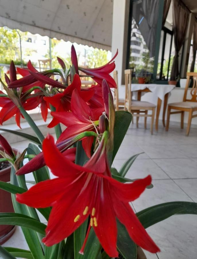 Hotel Rossi Wlora Zewnętrze zdjęcie